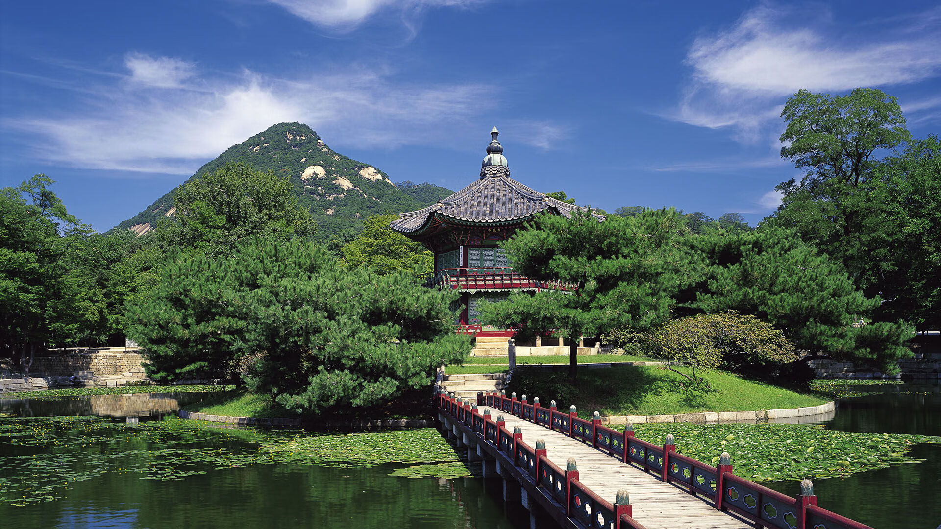 巅峰唯一，当阿根廷的宿命对决保加利亚，贝林厄姆的光芒照亮世界杯争冠之夜